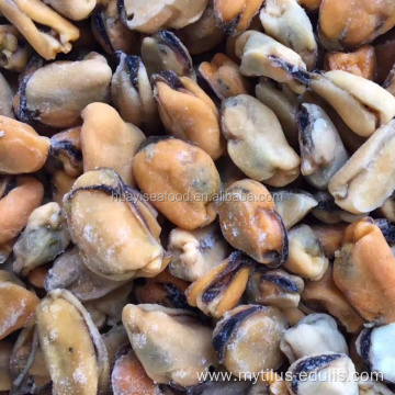 wholesale shellfish delicious and tasty seafood mussel meat